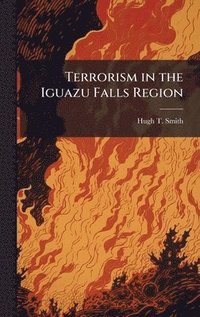 bokomslag Terrorism in the Iguazu Falls Region