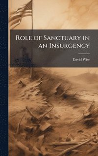 bokomslag Role of Sanctuary in an Insurgency