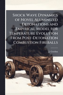 Shock Wave Dynamics of Novel Aluminized Detonations and Empirical Model for Temperature Evolution From Post-Detonation Combustion Fireballs