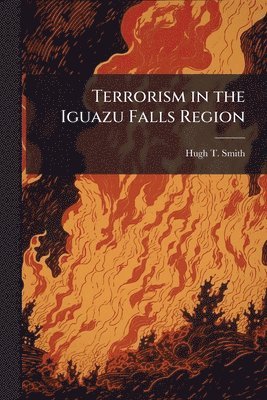 bokomslag Terrorism in the Iguazu Falls Region