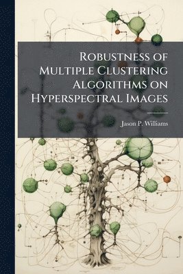 Jason P Williams, Jason P. Williams - Robustness of Multiple Clustering Algorithms on Hyperspectral Images, Häftad