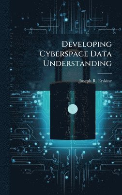 bokomslag Developing Cyberspace Data Understanding