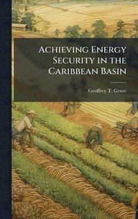bokomslag Achieving Energy Security in the Caribbean Basin