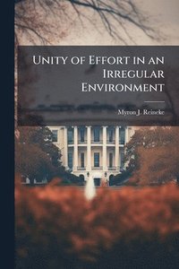 bokomslag Unity of Effort in an Irregular Environment