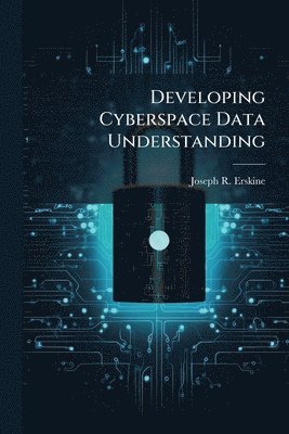 bokomslag Developing Cyberspace Data Understanding