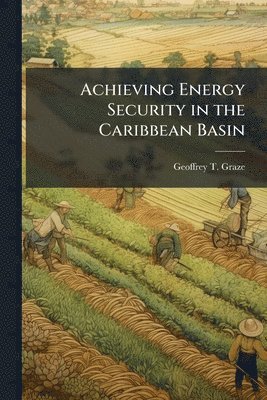 bokomslag Achieving Energy Security in the Caribbean Basin
