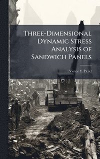 bokomslag Three-Dimensional Dynamic Stress Analysis of Sandwich Panels