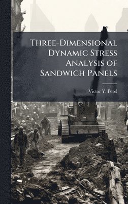 bokomslag Three-Dimensional Dynamic Stress Analysis of Sandwich Panels