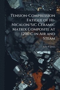 bokomslag Tension-Compression Fatigue of Hi-Nicalon/SiC Ceramic Matrix Composite at 1200 C in Air and Steam