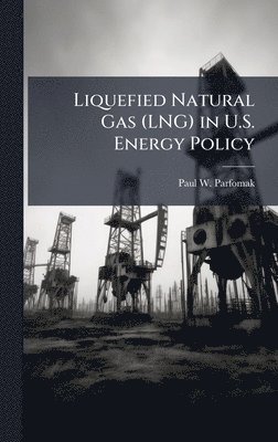 bokomslag Liquefied Natural Gas (LNG) in U.S. Energy Policy