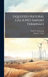 bokomslag Liquefied Natural Gas (LNG) Import Terminals