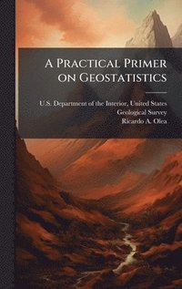 bokomslag A Practical Primer on Geostatistics