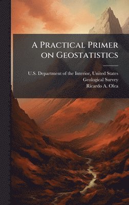 bokomslag A Practical Primer on Geostatistics