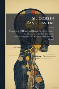bokomslag Silicosis in Sandblasters