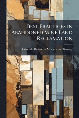 bokomslag Best Practices in Abandoned Mine Land Reclamation