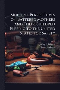 bokomslag Multiple Perspectives on Battered Mothers and Their Children Fleeing to the United States for Safety