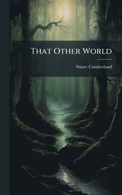 bokomslag That Other World