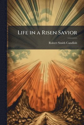 bokomslag Life in a Risen Savior