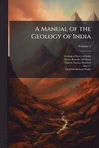 bokomslag Manual of the Geology of India