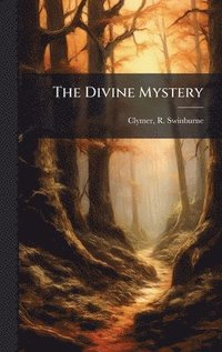 bokomslag Divine Mystery