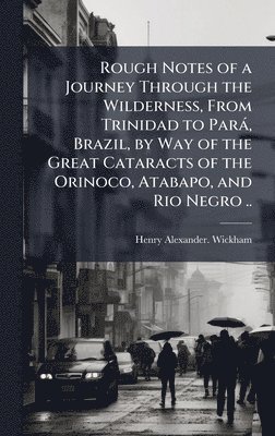 Rough Notes of a Journey Through the Wilderness, From Trinidad to ParaÌ, Brazil, by Way of the Great Cataracts of the Orinoco, Atabapo, and Rio Negro