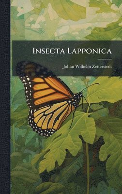 Insecta Lapponica