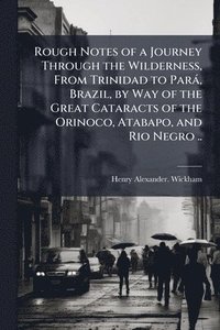 bokomslag Rough Notes of a Journey Through the Wilderness, From Trinidad to ParaÌ, Brazil, by Way of the Great Cataracts of the Orinoco, Atabapo, and Rio Negro ..