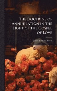 bokomslag Doctrine of Annihilation in the Light of the Gospel of Love