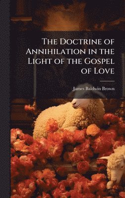 bokomslag Doctrine of Annihilation in the Light of the Gospel of Love