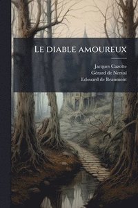 bokomslag diable amoureux