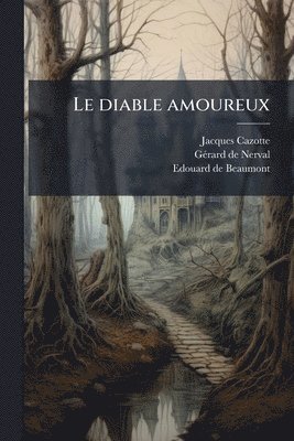 bokomslag diable amoureux