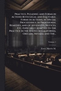 bokomslag Practice, Pleading and Forms in Actions Both Legal and Equitable. Forms in Actions, in Special Proceedings, in Provisional Remedies, and of Affidavits, Notices, Etc. Especially Adapted to the Pract...