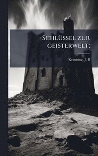 bokomslag SchlÃ1/4ssel zur geisterwelt;
