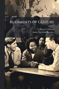 bokomslag Rudiments of Gesture
