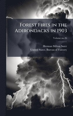 bokomslag Forest Fires in the Adirondacks in 1903