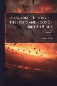 bokomslag Natural History of the Nests and Eggs of British Birds