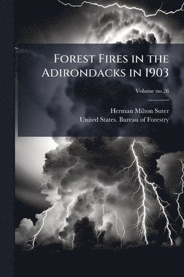 bokomslag Forest Fires in the Adirondacks in 1903