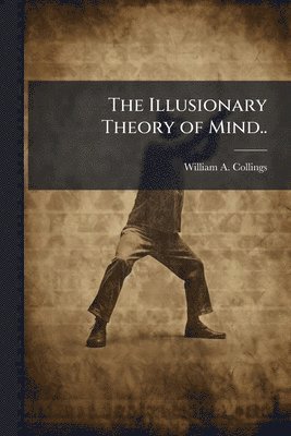 bokomslag The Illusionary Theory of Mind..