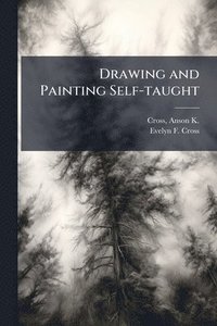 bokomslag Drawing and Painting Self-taught