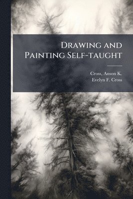 bokomslag Drawing and Painting Self-taught