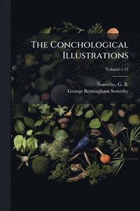bokomslag The Conchological Illustrations