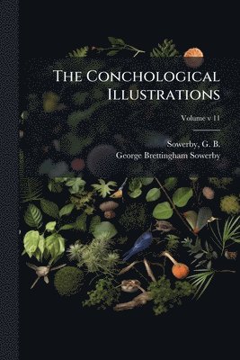 bokomslag The Conchological Illustrations