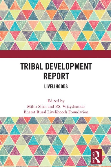 bokomslag Tribal Development Report