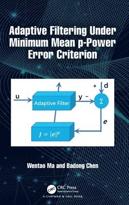 Adaptive Filtering Under Minimum Mean p-Power Error Criterion 1