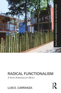 bokomslag Radical Functionalism