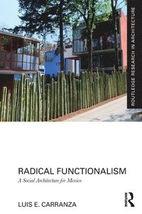 bokomslag Radical Functionalism