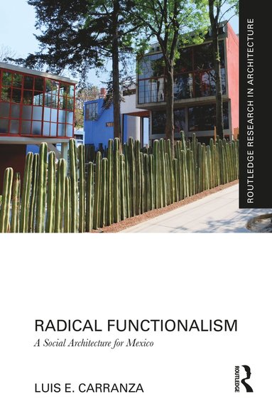 bokomslag Radical Functionalism