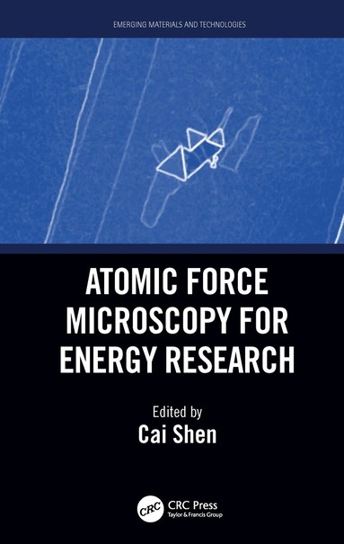 bokomslag Atomic Force Microscopy for Energy Research