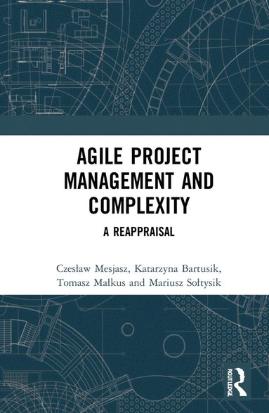 bokomslag Agile Project Management and Complexity