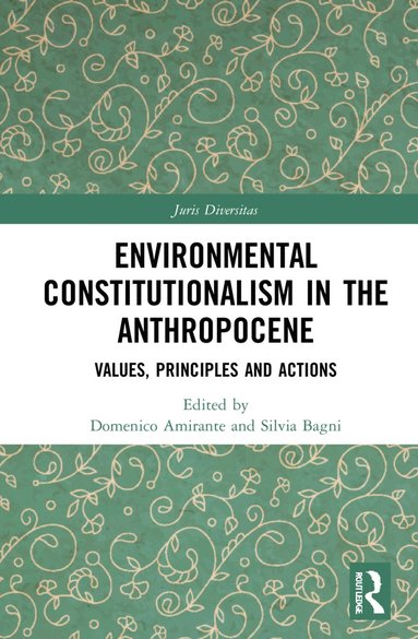 bokomslag Environmental Constitutionalism in the Anthropocene